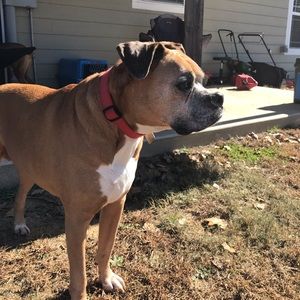 Meet your Posher, Hope